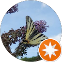 Almut Erlwein (Gizzy) profile picture